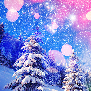 壁紙プレゼント 厳選素材フォト